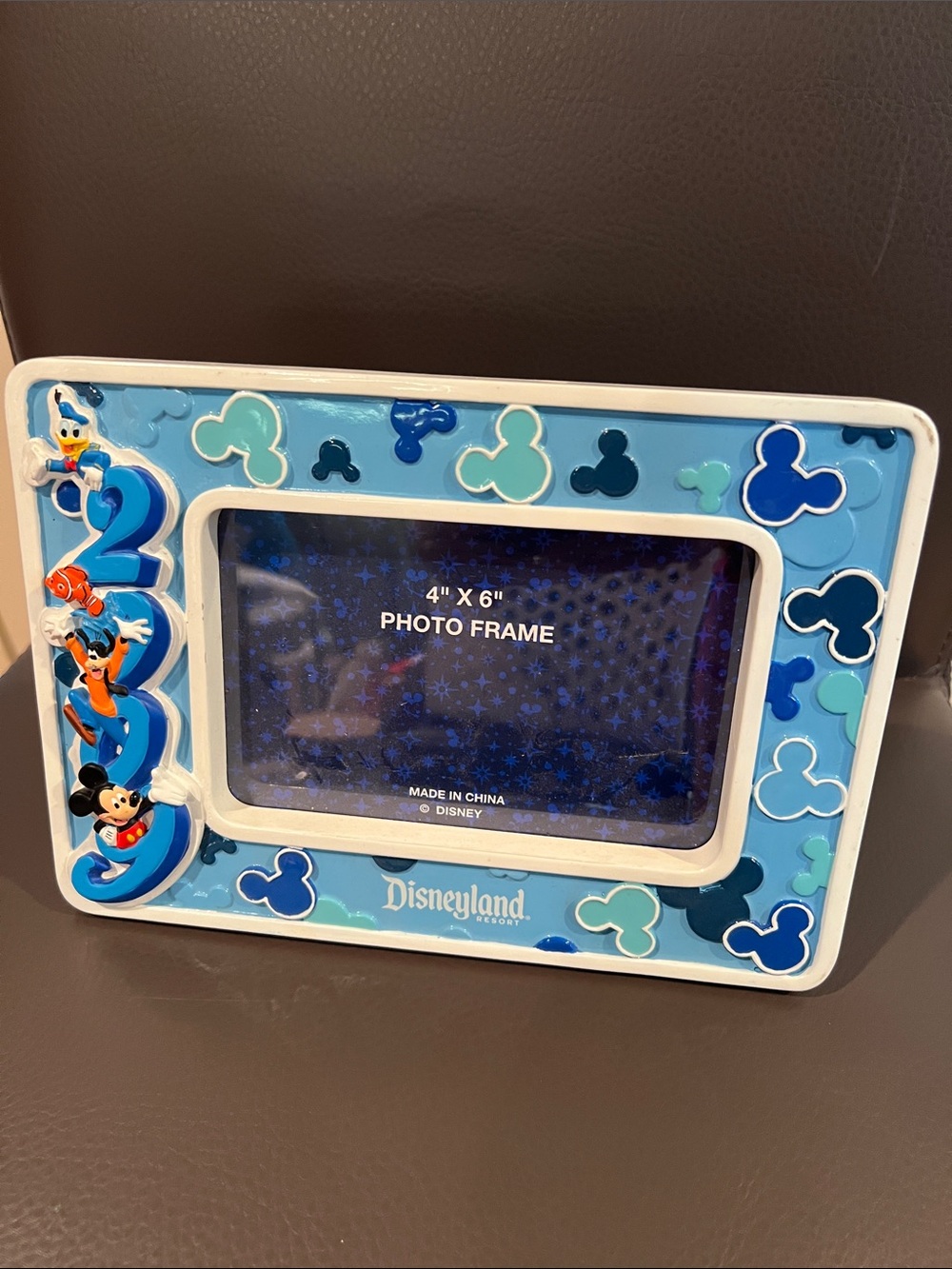 Disneyland 2009 frame